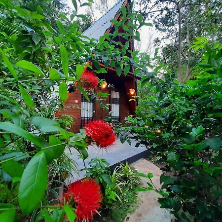 The Otunna Guest House Sigiriya Esterno foto