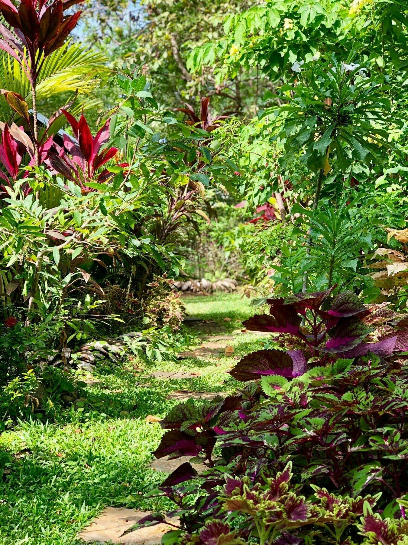 The Otunna Guest House Sigiriya Esterno foto